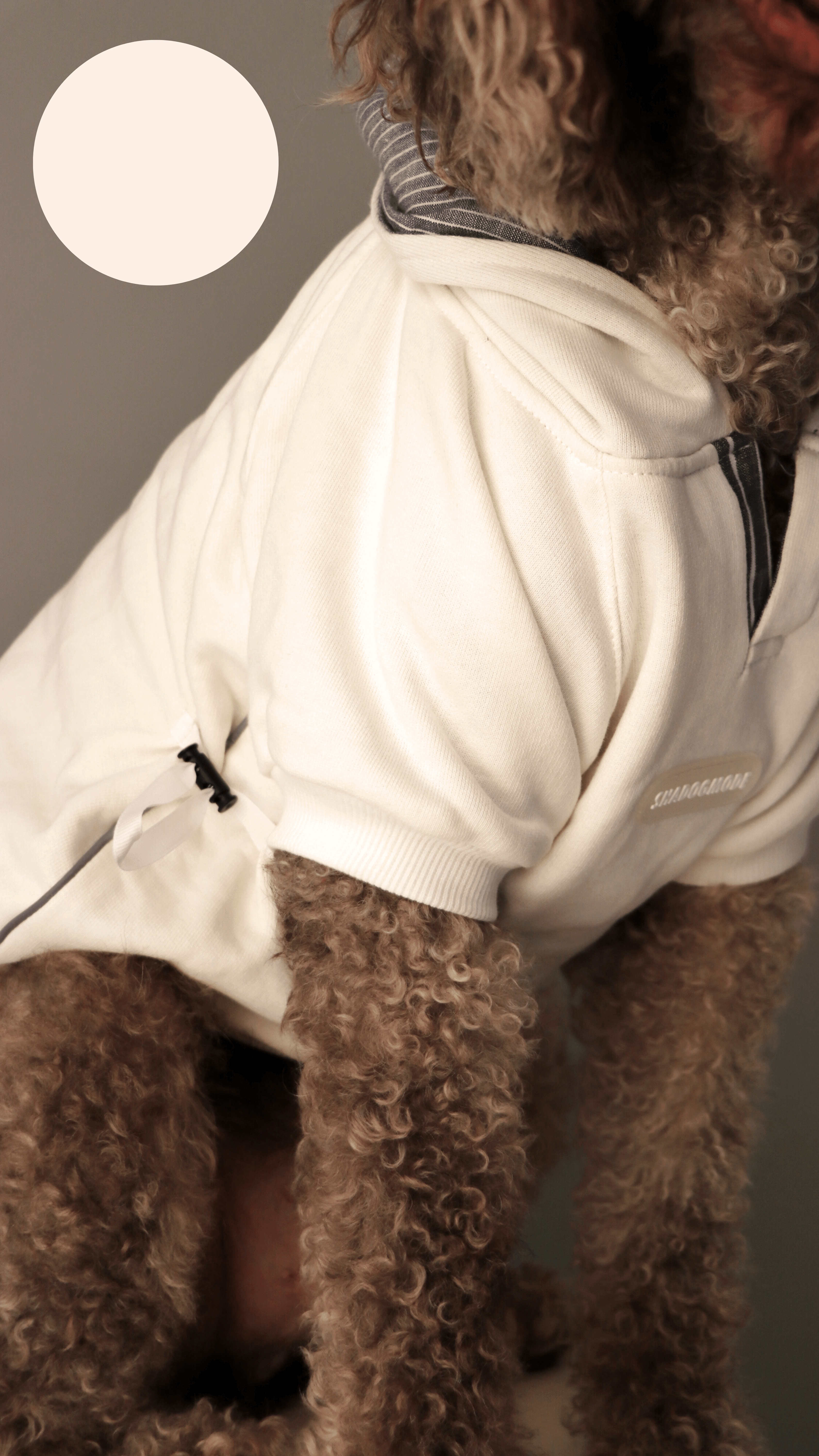 WHITEBLUE HOODIE